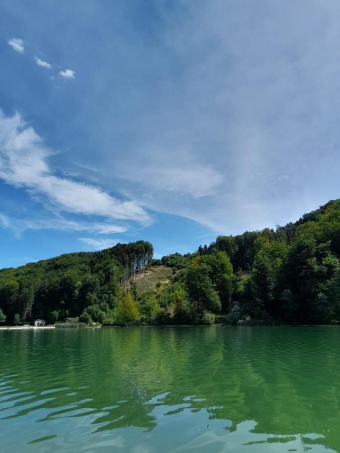 Mobilheim Chalet Bei Georg Seekirchen am Wallersee Ngoại thất bức ảnh